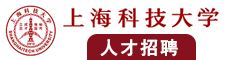 又逼视频